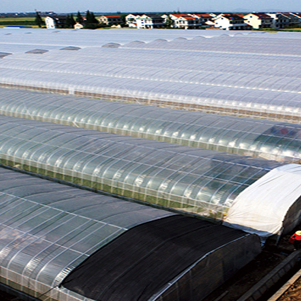 Greenhouse film